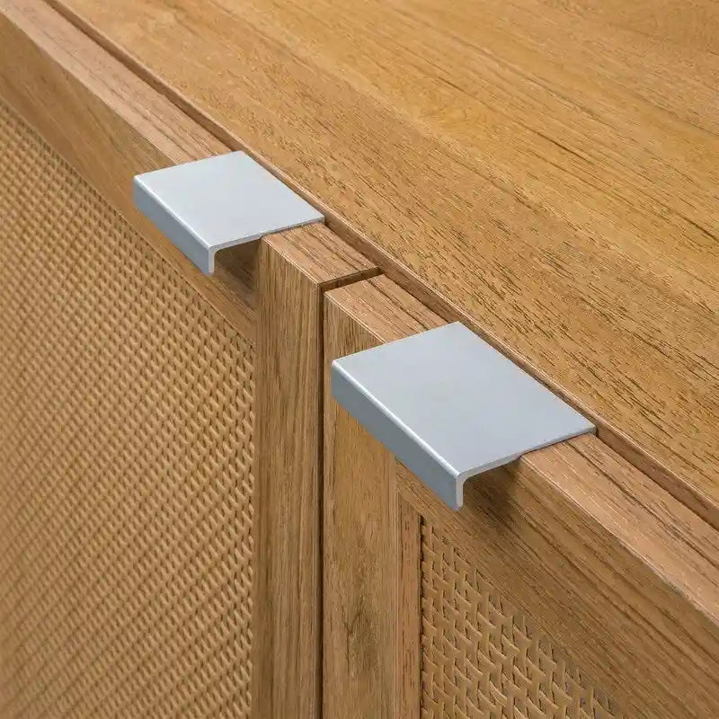 Brauner 2-türiger Schrank mit Rattaneinsätzen